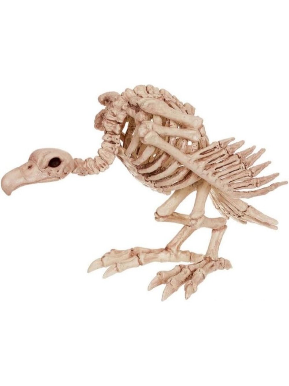 Bone Plastic 10in Halloween Skeleton Vulture Bird Bendable Neck Spooky Décor